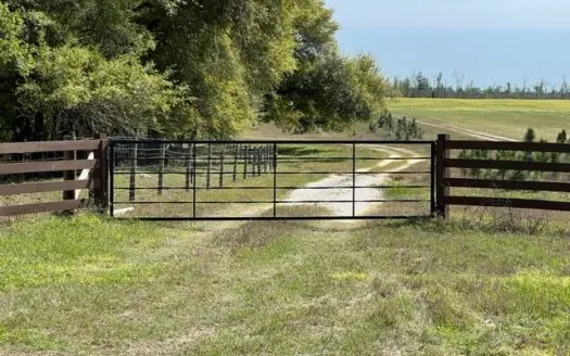 Land for Sale in Calhoun County, Florida