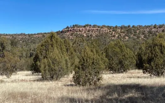 Cabin Building Site with Power Backs to Ranch
