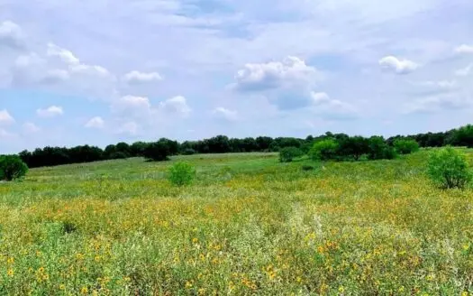 Land for Sale in Atascosa County