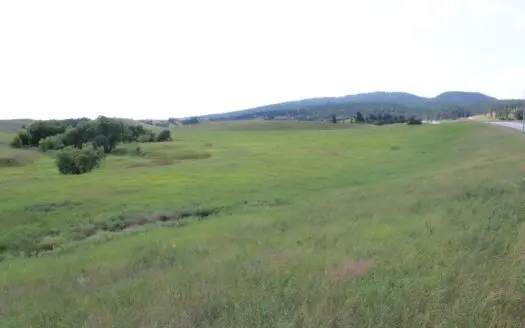 Sturgis Sd Commercial / Development Land for Sale