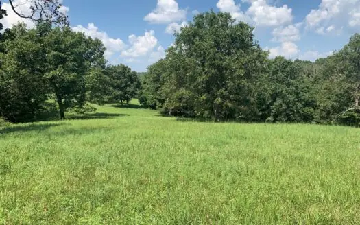 Land for Sale in Sw Missouri