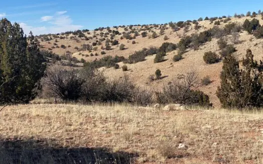 Williams Az Land for Sale with Seasonal Waterway