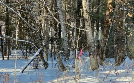 Riverfront Land Near Parks and Recreation