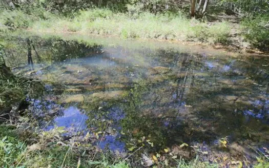 Cattle Ranch with Spring Water in Texas County Missouri