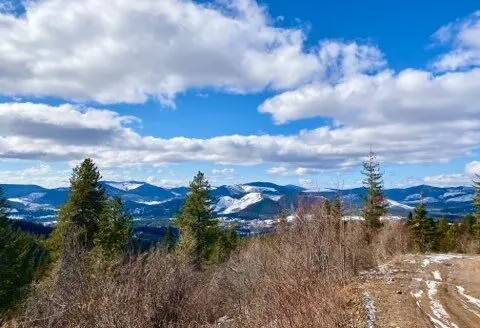 6.4 Acre Parcel with Mountain Views in Fernwood, Idaho