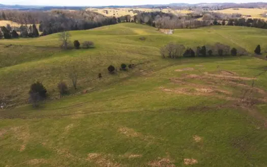 15.44 Acres Unrestricted Land in East Tn for Sale