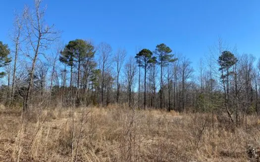 Land in Tn for Sale, Septic Tank, Water, Elect, Mobile Home