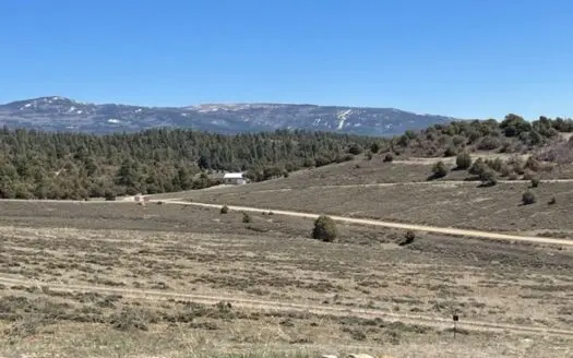 Recreational Mountain Land for Sale W/ Power & Septic, Chama