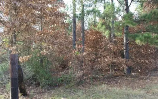 20+ Acres/ De Kalb, Tx