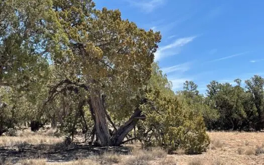 Rural 20 Acres -recreation or Build Your Off-grid Home