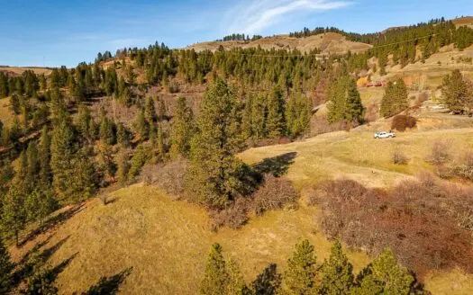 20 Acre Lot Along the Clearwater River Near Lenore, Idaho