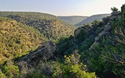 Southern Utah Hunting Land for Sale with Public Land Access