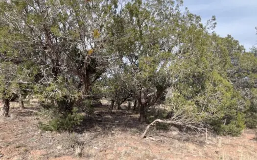Starry Starry Nights — Hunting Recreational — Northern Az