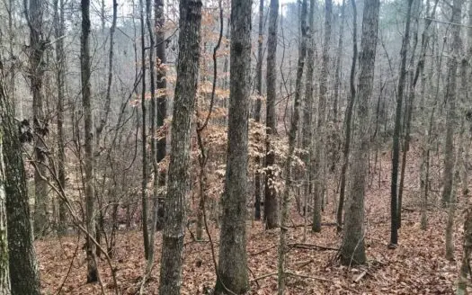 26.8 Acres Land for Sale Philadelphia, Neshoba County, Ms