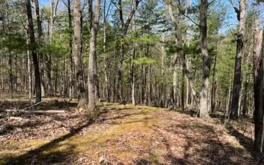 Wooded Acres for Sale in Oldtown Md