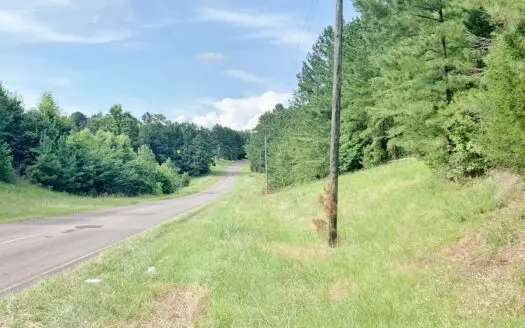 293 Acres Hunting Timberland for Sale Jefferson Co, South Ms