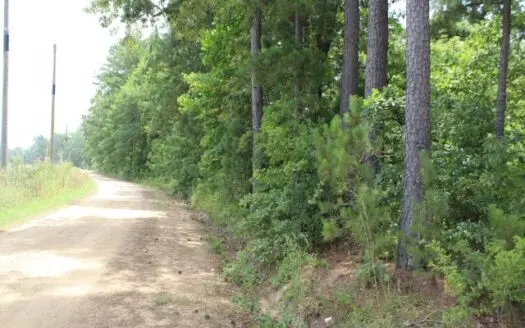 55+ Acres/ Bowie County, Texas