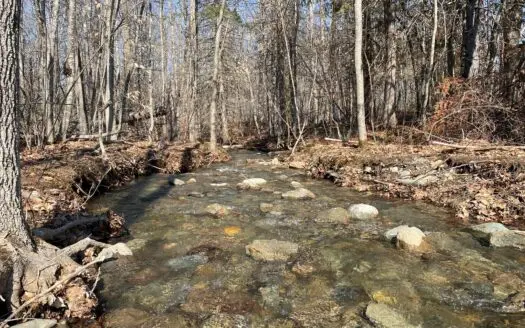 Coastal Land and Timber Investment Property