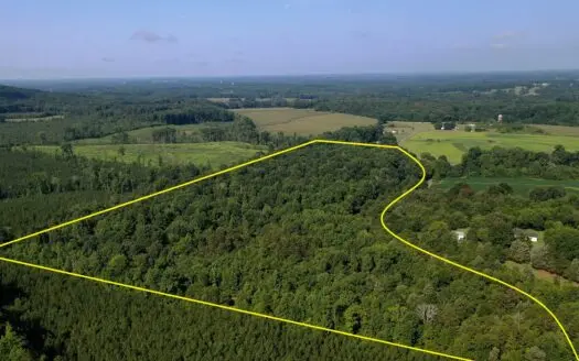 Secluded Wooded Land with Homesite in Rowan County Nc