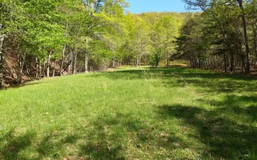 Land for Sale in Wytheville, Va