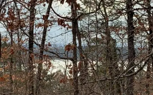 Amazing Lot in Gated Community on Bull Shoals Lake