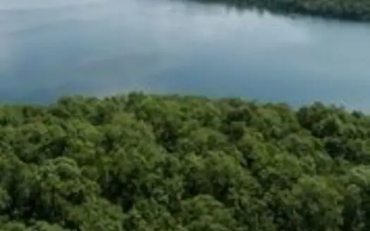 Lakeview Lot on Bull Shoals Lake