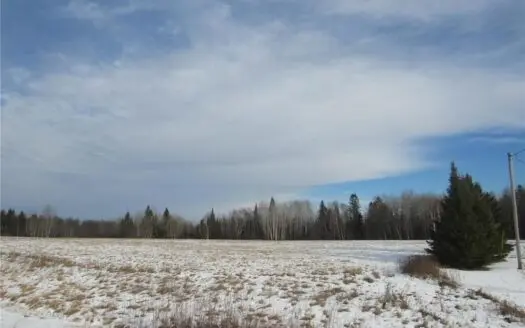 75+ Acres with Building Site for Sale Near Moose Lake Mn