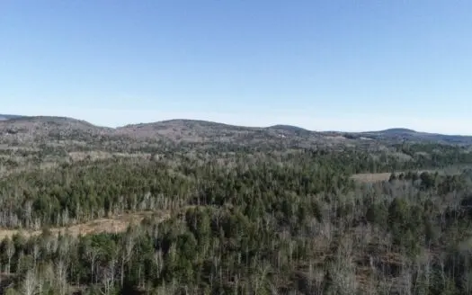 Timberland with Mountain Views