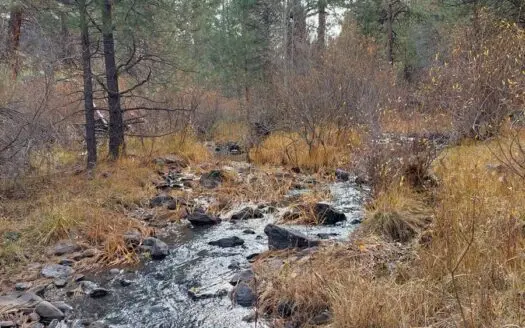 Creek Front Property on Rural Acreage in Northern Ca