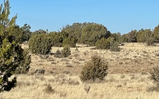 Not Too Big-not Too Small -just Right to Get Away