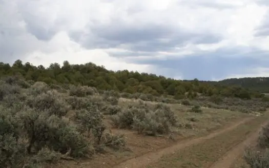 Land for Sale Near Chama Nm Below Brazos Cliffs