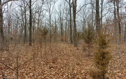 Land for Sale!10+/- Acres Vacant Land! Hunt, Camp or Build!