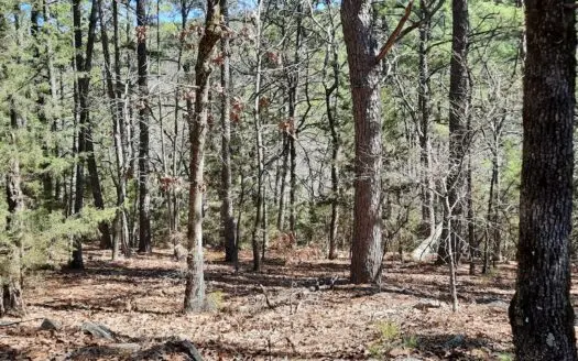 Recreational Mountain Land for Sale Daisy Oklahoma