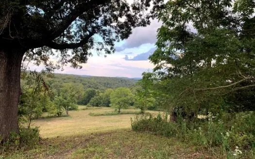 Acreage 4 Min to Buffalo National River—has It All