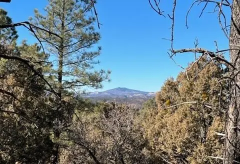 Chama Nm Mountain Land for Sale with Mountain Views