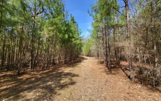 Recreational Hunting Land for Sale Red River County Texas