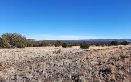 Own You Piece Of the Old West