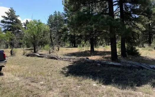 Land for Sale South Of Chama Nm Near Brazos Cliff