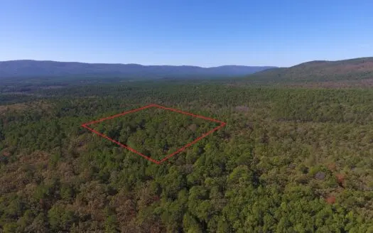 Blue Mountain 6.9 Acres Inside National Forest