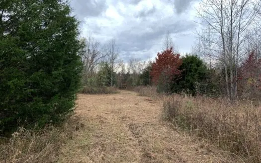 Hunting Land – Wooded Acreage – Secluded – Liberty, Ky.