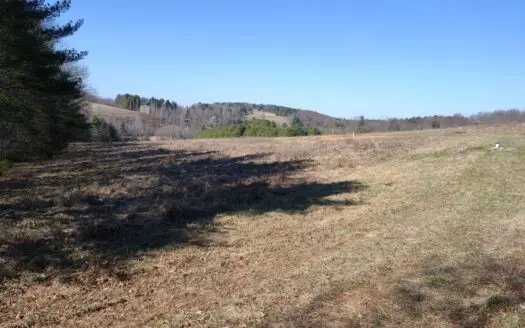 Building Site for Sale in Floyd County Va