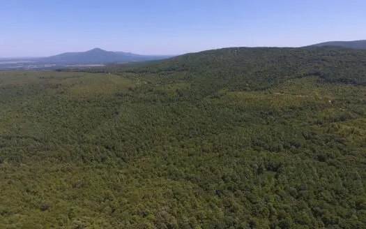 80 Acre Poteau Mountain Recreational Property