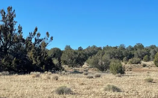 10 Acres Off-grid Northern Arizona Close to Maintained Road