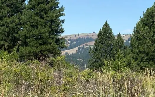 Fantastic Acreage, Usable Land, Peck Idaho