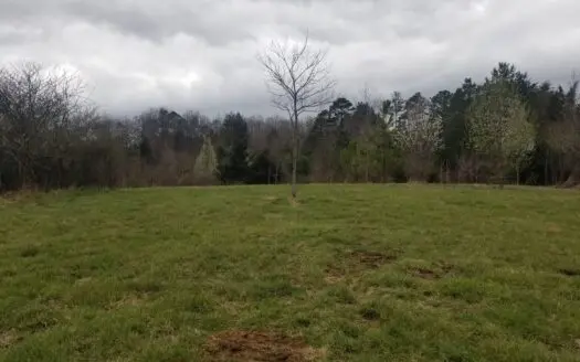 Sold! South Tn Land 27 Acre Deer Springs Pond Field