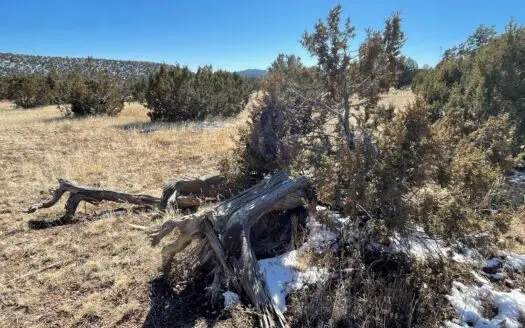 Rural but Not Remote — Close to Seligman Az — Ez Access