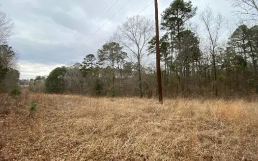 Lone Star, Texas Land for Sale, Hunting and Recreational