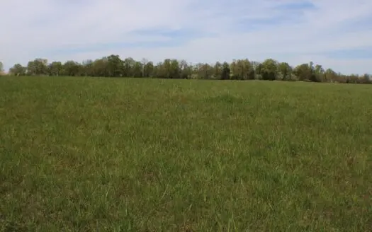 Great Farm Land for Sale