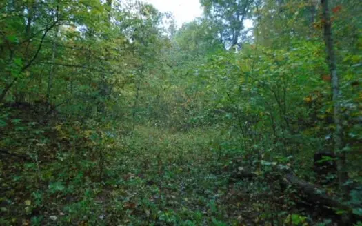 Secluded Hunting Land in Missouri