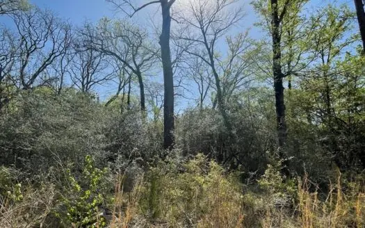 5 Acres -centerville, Texas